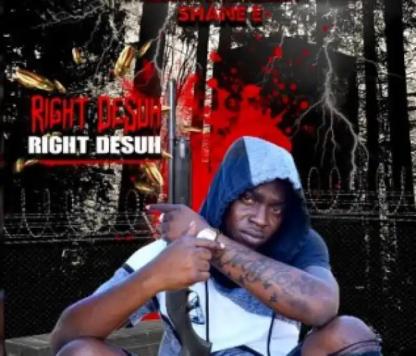 Shane E - Right Desuh, Right Desuh (gage Diss)